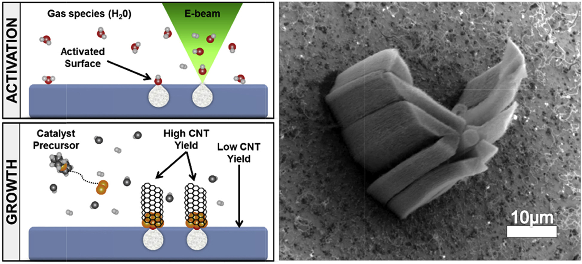 Carbon nanotube image